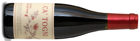 catogni_1800x1800 image